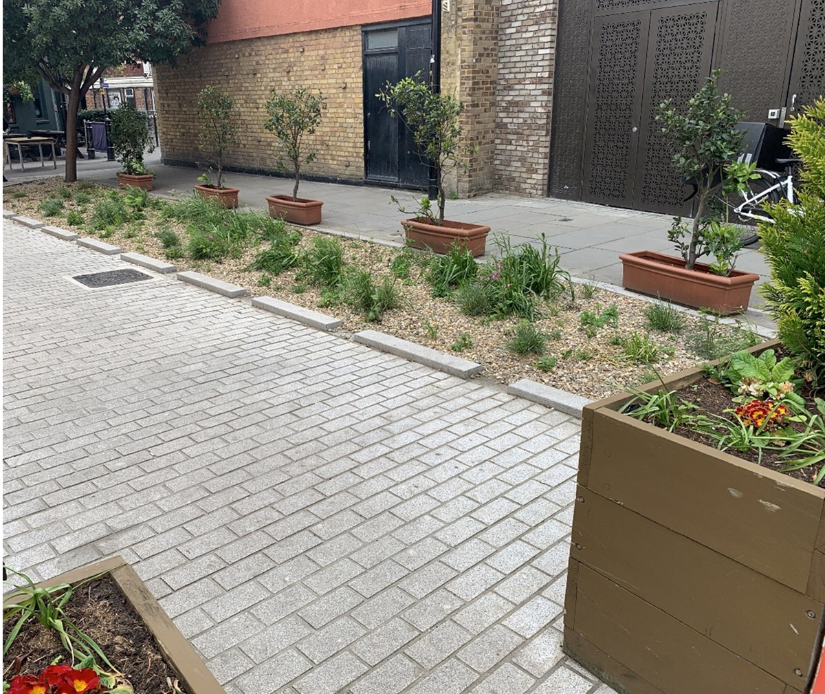 The rain garden at the end of Melior Street